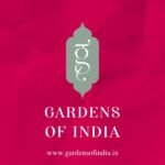 “Bringing India’s Finest Tea, Spices, and Foods to Your Doorstep: Gardens of India’s Ecommerce Launch”