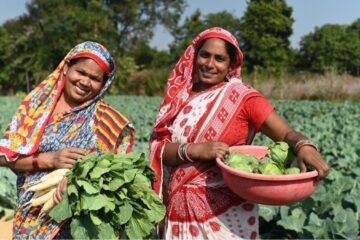 Vedanta Aluminium’s Jeevika Samriddhi Project Empowers Agri-Entrepreneurs in Odisha’s Jharsuguda